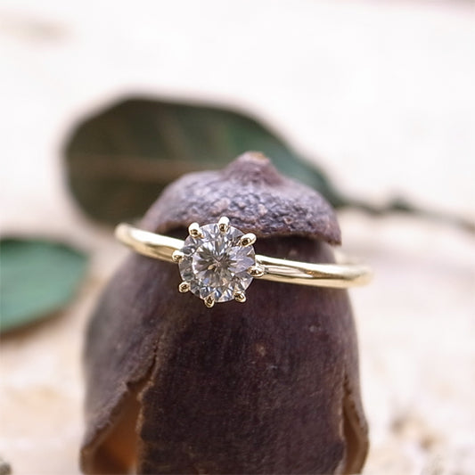 Gallery 073