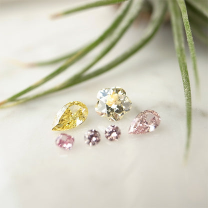 天然粉钻 黄钻 FL 6颗钻石｜Gallery 504